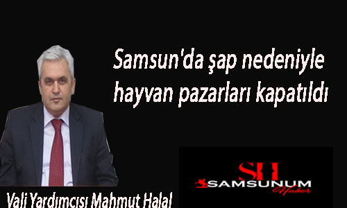 Samsun’da şap nedeniyle hayvan pazarları kapatıldı
