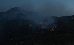 İzmir ve Bolu’daki orman yangınına havadan ve karadan müdahale devam ediyor
