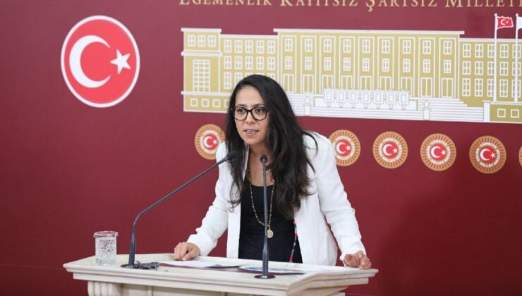 TİP’li Kadıgil: Kırtasiye ürünlerinde KDV sıfırlansın, çocuklar okula aç gitmesin