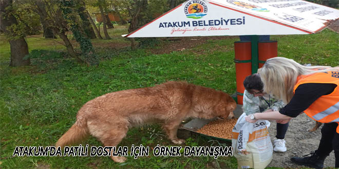 Atakum’da patili dostlar için  örnek dayanışma