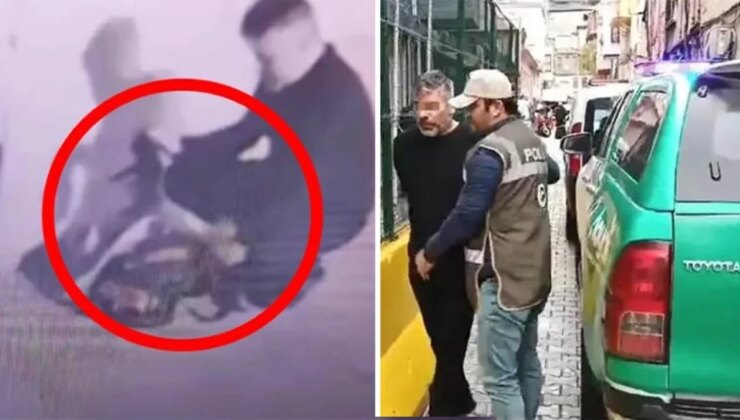 Çantasına koyduğu 9 kediyi darp ederek öldüren sanık tahliye edildi