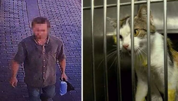 Kedilere kezzap atan Murat Özdemir’in 7 yıla kadar hapsi istendi